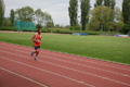 rietipino_337