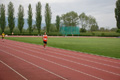 rietipino_341