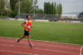 rietipino_345