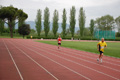 rietipino_346