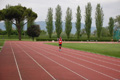 rietipino_353