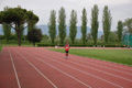 rietipino_354