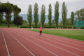 rietipino_355