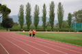 rietipino_367