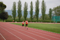 rietipino_368
