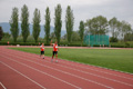 rietipino_370