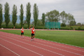 rietipino_371