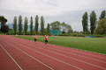 rietipino_372