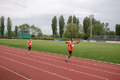 rietipino_376
