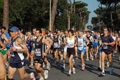 appiarun_pino_0046