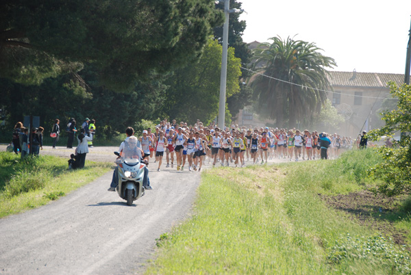 Castel di Guido Country Race (01/05/2009) castelguido_4498