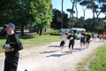 centoprovince_5758