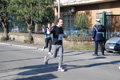 pavona_10084