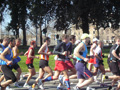 costa_km_12_085