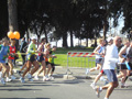 costa_km_12_114