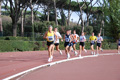 novembrino_1153