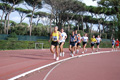 novembrino_1154