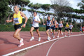 novembrino_1157