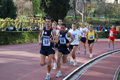 novembrino_1208