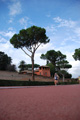 novembrino_1314