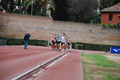 novembrino_1780