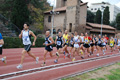 novembrino_1796