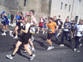 muzzi0239
