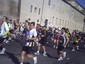 muzzi0245