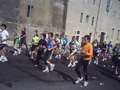 muzzi0247