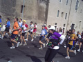 muzzi0248