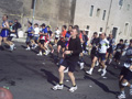 muzzi0254