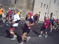 muzzi0268