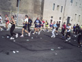 muzzi0280