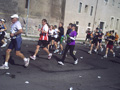 muzzi0291