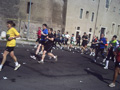 muzzi0296