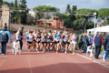 novembrino_1766