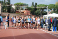 novembrino_1767
