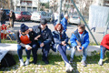 collatino_5524