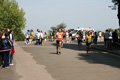 mollica_0566