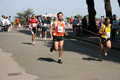 mollica_0567