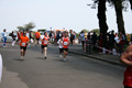 mollica_0581