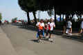 mollica_0605