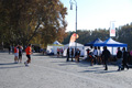 corsanti_4982