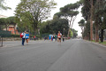 vivicitta_pino_672