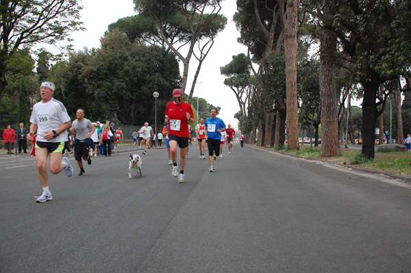 Vivicittà Roma (19/04/2009) vivicitta_pino_929