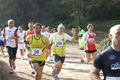 villaadaabio-028028