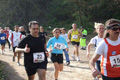 villaadaabio-031031