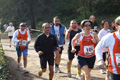 villaadaabio-036036