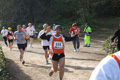 villaadaabio-037037