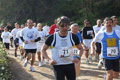 villaadaabio-043043